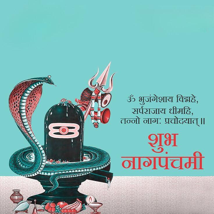 Happy Nag Panchami Images, Quotes, Wishes | Nag Panchami Wishes, Images Download | नाग पंचमी इमेज, फोटोज़ शुभकामनाएं 26 happy nag panchami photo status