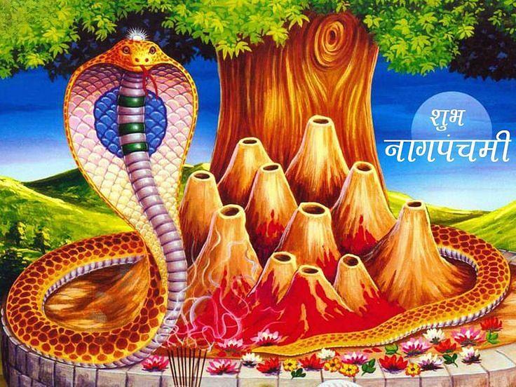 Happy Nag Panchami Images, Quotes, Wishes | Nag Panchami Wishes, Images Download | नाग पंचमी इमेज, फोटोज़ शुभकामनाएं 30 happy nag panchami photo