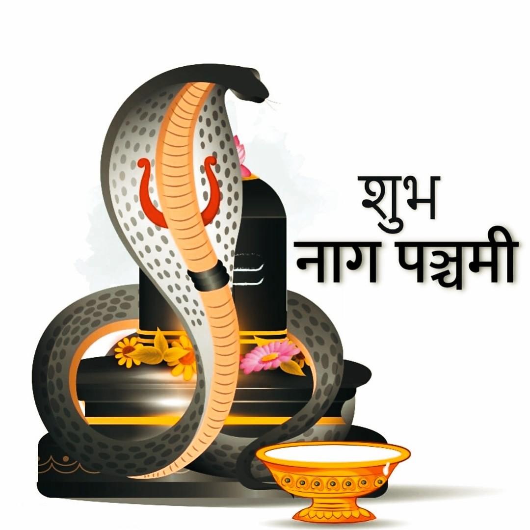 Happy Nag Panchami Images, Quotes, Wishes | Nag Panchami Wishes, Images Download | नाग पंचमी इमेज, फोटोज़ शुभकामनाएं 80 nag panchami quotes images(7)