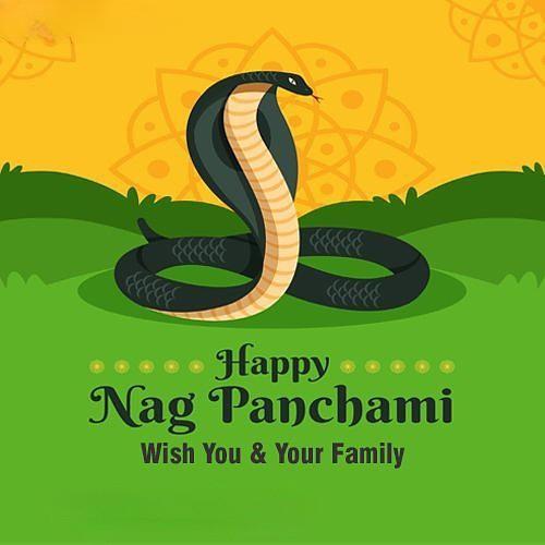 Happy Nag Panchami Images, Quotes, Wishes | Nag Panchami Wishes, Images Download | नाग पंचमी इमेज, फोटोज़ शुभकामनाएं 123 nag panchami wishes images(18)