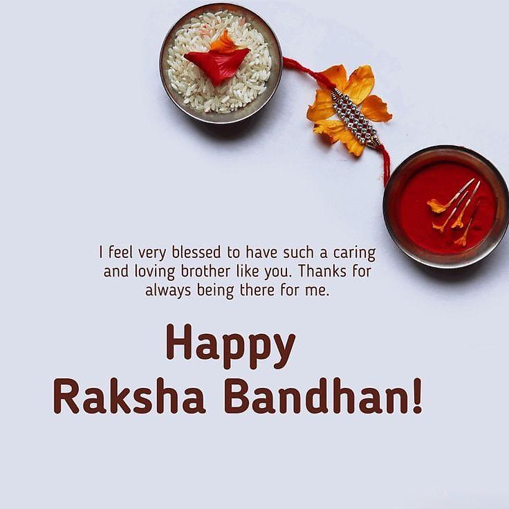 Happy Raksha Bandhan Images Download : Wishes, Quotes, Massage, Picture, Photo Share | 31 raksha bandhan wishes for brother(16)