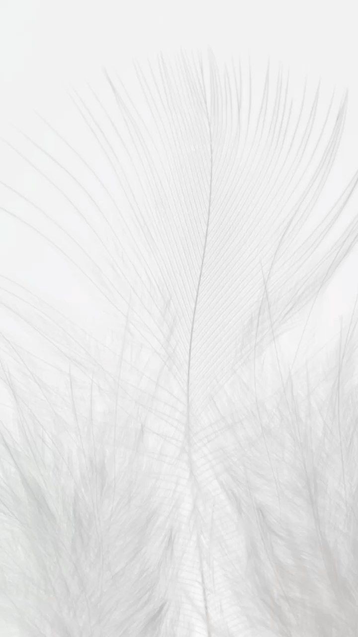 500+ White Background Image Free Download | White Background | 443 background white photo editor -(2)