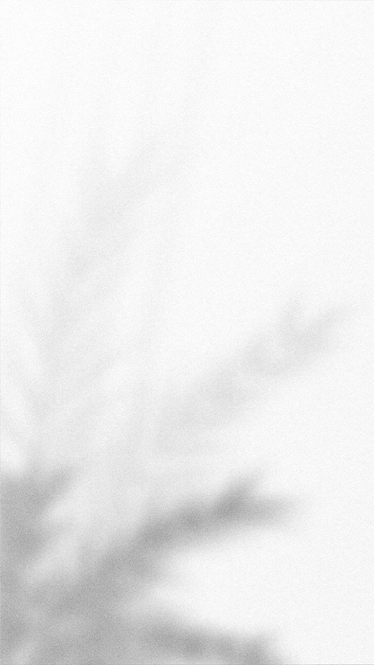 500+ White Background Image Free Download | White Background | 418 background white picture -(7)