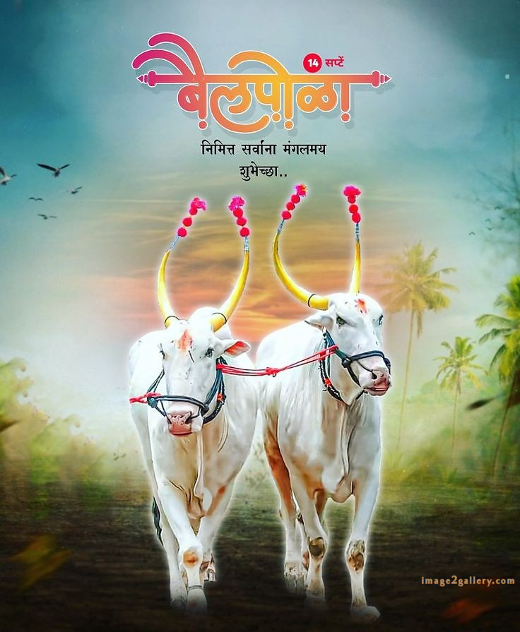 100+ Bail Pola Wishes In Marathi | बैल पोळा शुभेच्छा संदेश मराठीत | 45 bail pola festival wishes in marathi -(6)