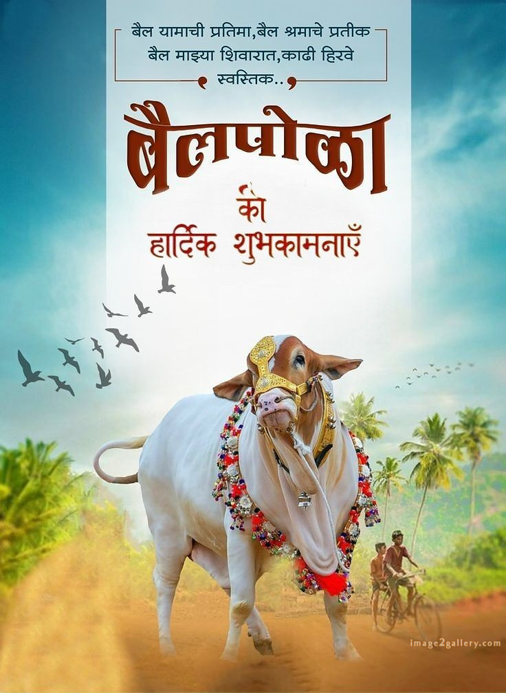 100+ Bail Pola Wishes In Marathi | बैल पोळा शुभेच्छा संदेश मराठीत | 66 bail pola marathi shubhechha -