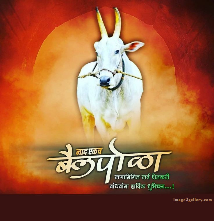 100+ Bail Pola Wishes In Marathi | बैल पोळा शुभेच्छा संदेश मराठीत | 52 bail pola marathi shubhechha -(2)