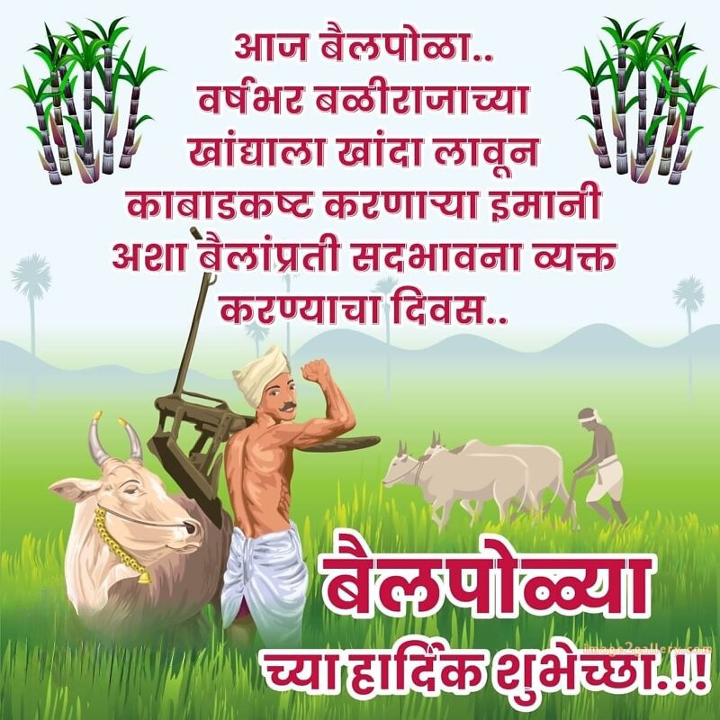 100+ Bail Pola Wishes In Marathi | बैल पोळा शुभेच्छा संदेश मराठीत | 18 bail pola shubhechha quotes in marathi -(14)