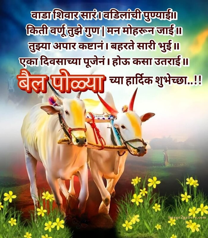100+ Bail Pola Wishes In Marathi | बैल पोळा शुभेच्छा संदेश मराठीत | 86 bail pola shubhechha quotes in marathi -(3)