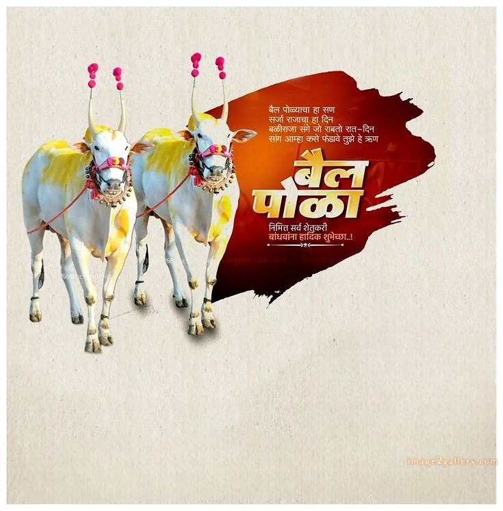 100+ Bail Pola Wishes In Marathi | बैल पोळा शुभेच्छा संदेश मराठीत | 50 bail pola wishes in marathi -(10)