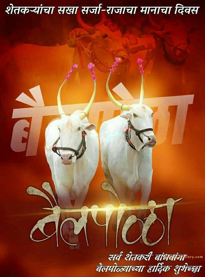100+ Bail Pola Wishes In Marathi | बैल पोळा शुभेच्छा संदेश मराठीत | 93 bail pola wishes in marathi -(3)