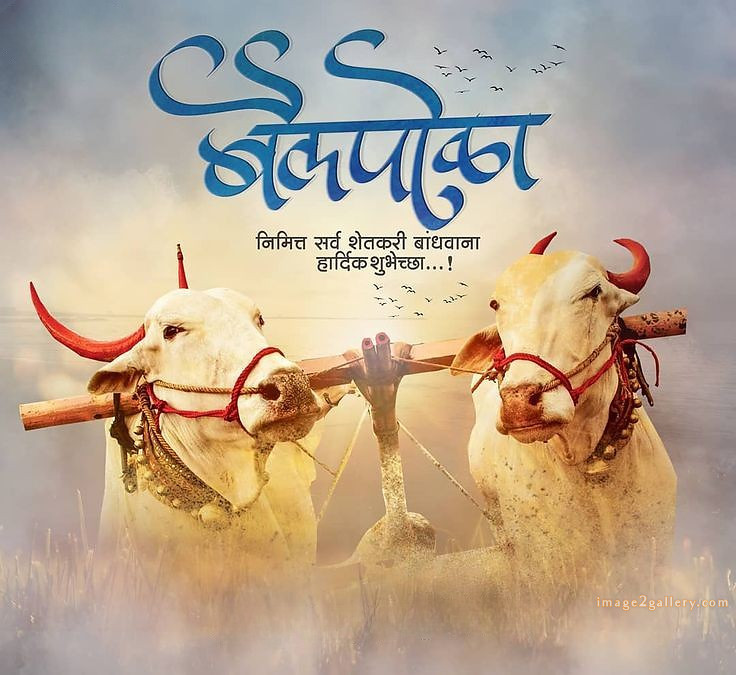 bail pola wishes in marathi -(4)