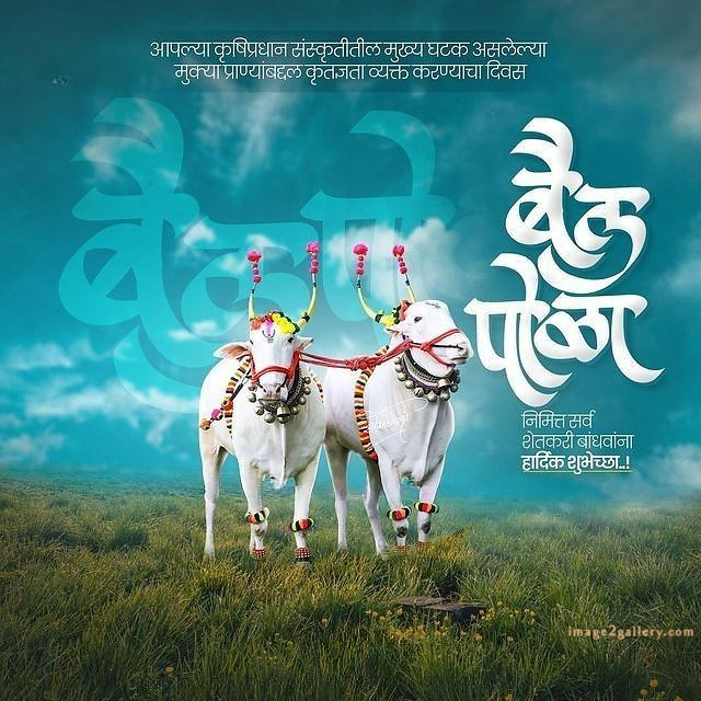 100+ Bail Pola Wishes In Marathi | बैल पोळा शुभेच्छा संदेश मराठीत | 7 bail pola wishes in marathi -(5)