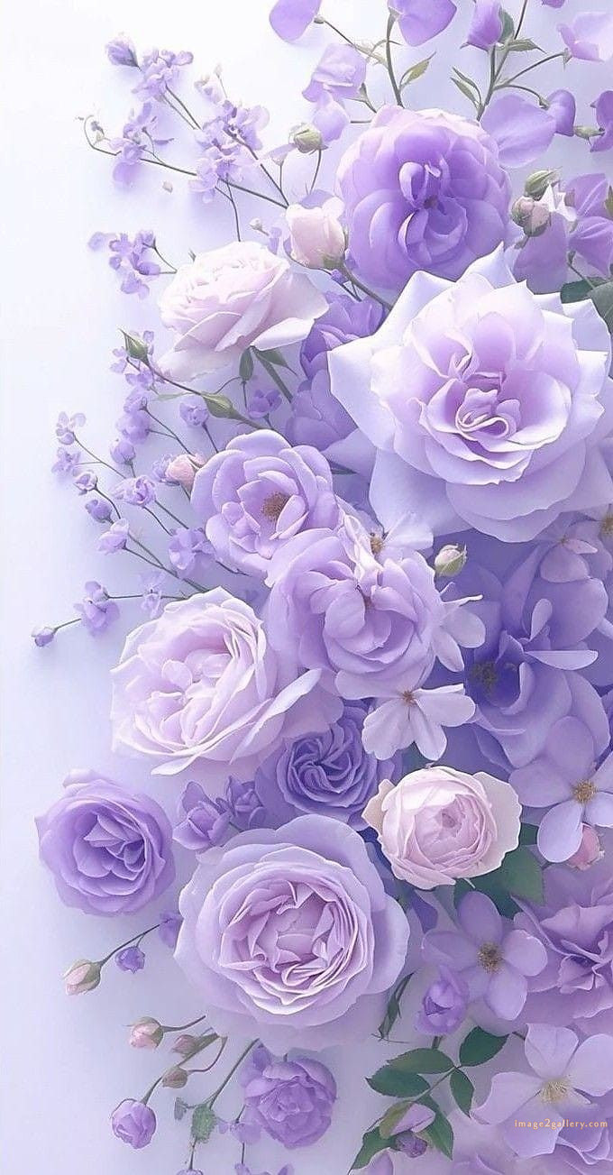 700+ Cute Flower Wallpaper Free Download | Beautiful Flowers Wallpapers for Mobile | 55 beautiful flower wallpaper -(1)
