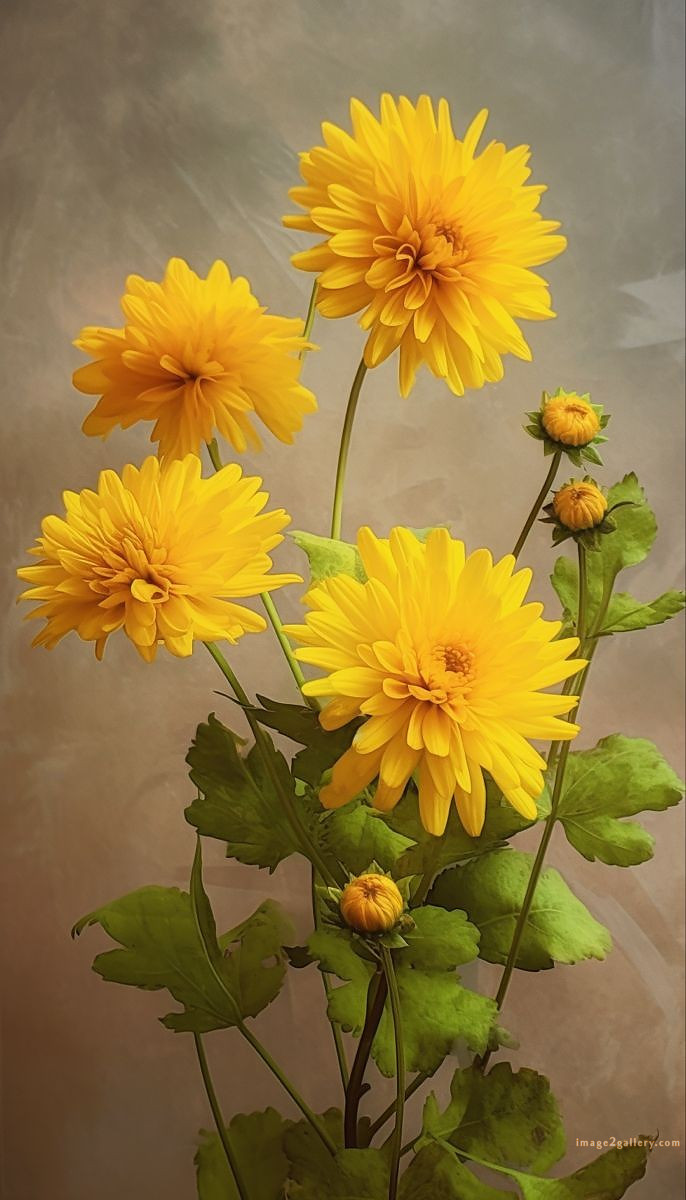 700+ Cute Flower Wallpaper Free Download | Beautiful Flowers Wallpapers for Mobile | 33 beautiful flower wallpaper hd -(28)