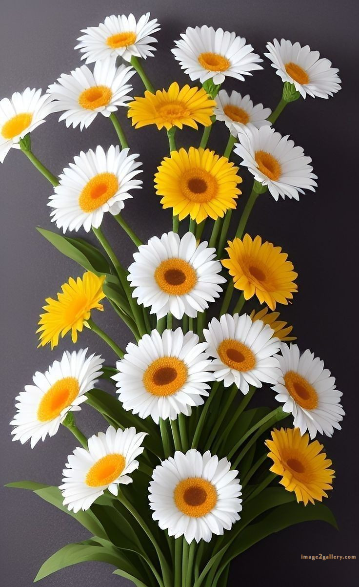700+ Cute Flower Wallpaper Free Download | Beautiful Flowers Wallpapers for Mobile | 14 beautiful flower wallpaper iphone -(14)