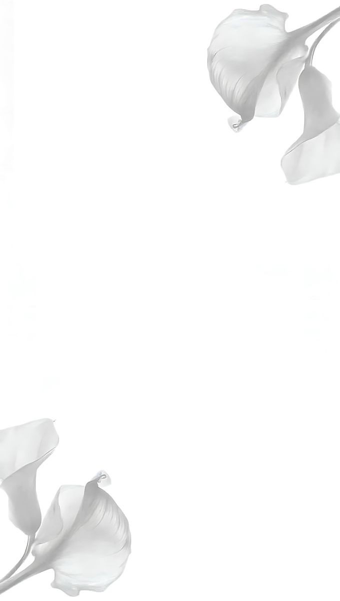500+ White Background Image Free Download | White Background | 379 color white wallpaper -(23)