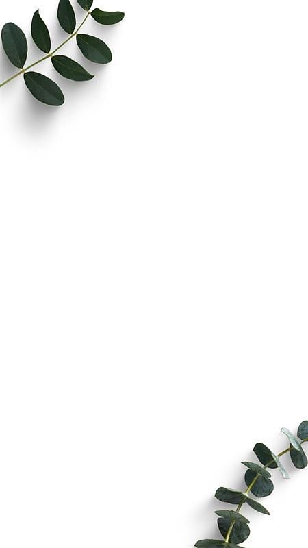 500+ White Background Image Free Download | White Background | 373 color white wallpaper -(28)