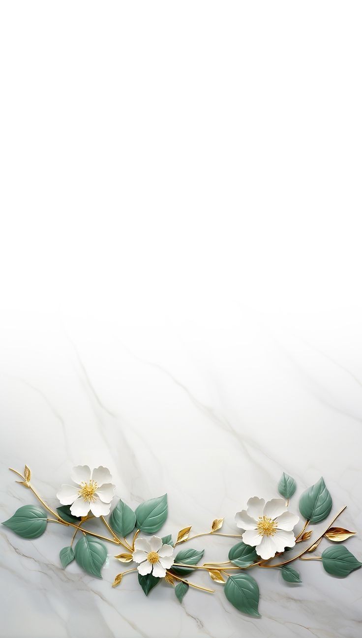 500+ White Background Image Free Download | White Background | 378 color white wallpaper -(29)