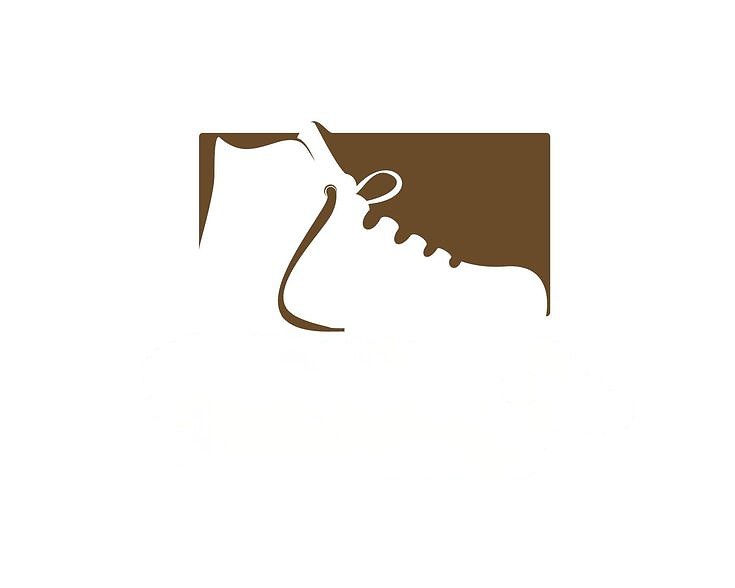 200+ Shoes Logo Design Free Download | Logo For Shoe Shop | 85 crocs logo -