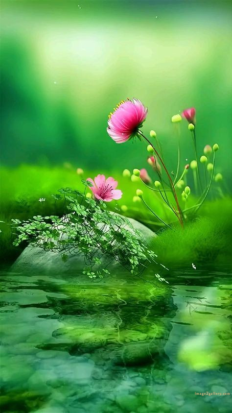 700+ Cute Flower Wallpaper Free Download | Beautiful Flowers Wallpapers for Mobile | 115 flower mobile wallpaper 4k -(26)