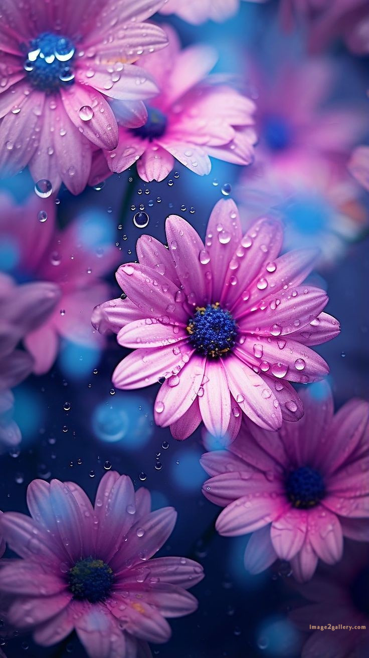 700+ Cute Flower Wallpaper Free Download | Beautiful Flowers Wallpapers for Mobile | 153 flower mobile wallpaper free -(15)