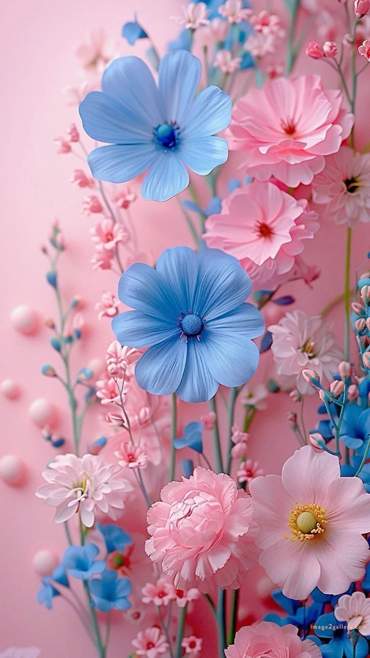 700+ Cute Flower Wallpaper Free Download | Beautiful Flowers Wallpapers for Mobile | 41 flower mobile wallpaper free -(19)