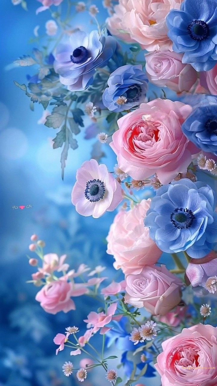 700+ Cute Flower Wallpaper Free Download | Beautiful Flowers Wallpapers for Mobile | 59 flower mobile wallpaper free -(23)