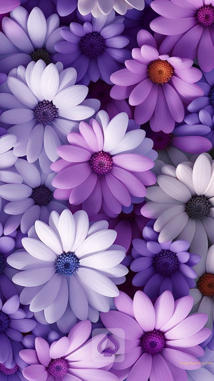 700+ Cute Flower Wallpaper Free Download | Beautiful Flowers Wallpapers for Mobile | 28 flower mobile wallpaper free -(26)