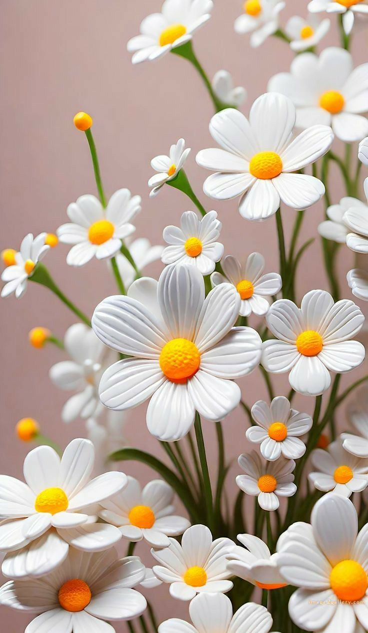 700+ Cute Flower Wallpaper Free Download | Beautiful Flowers Wallpapers for Mobile | 56 flower mobile wallpaper free -(27)