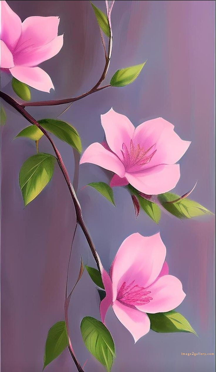 700+ Cute Flower Wallpaper Free Download | Beautiful Flowers Wallpapers for Mobile | 554 flower wallpaper -(17)