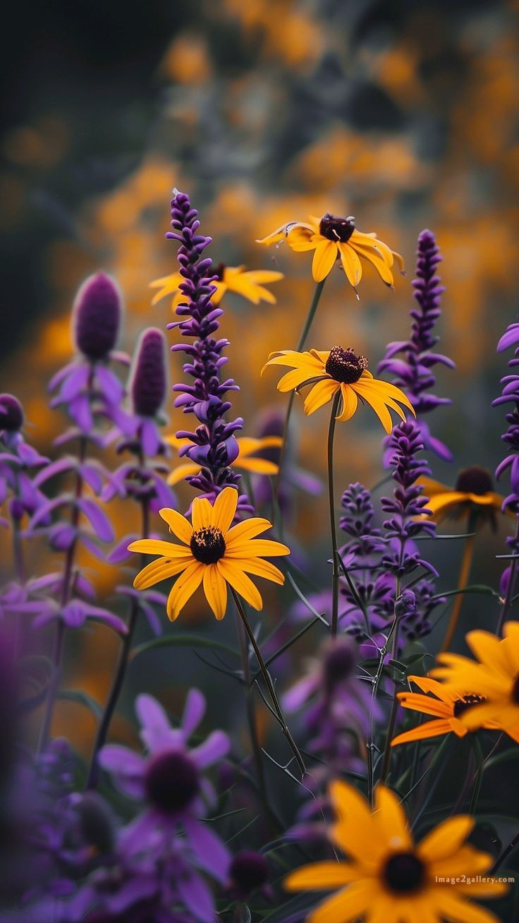 700+ Cute Flower Wallpaper Free Download | Beautiful Flowers Wallpapers for Mobile | 345 flower wallpaper -(25