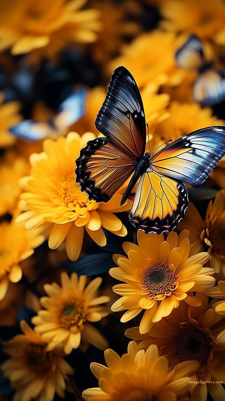 700+ Cute Flower Wallpaper Free Download | Beautiful Flowers Wallpapers for Mobile | 353 flower wallpaper -(35)