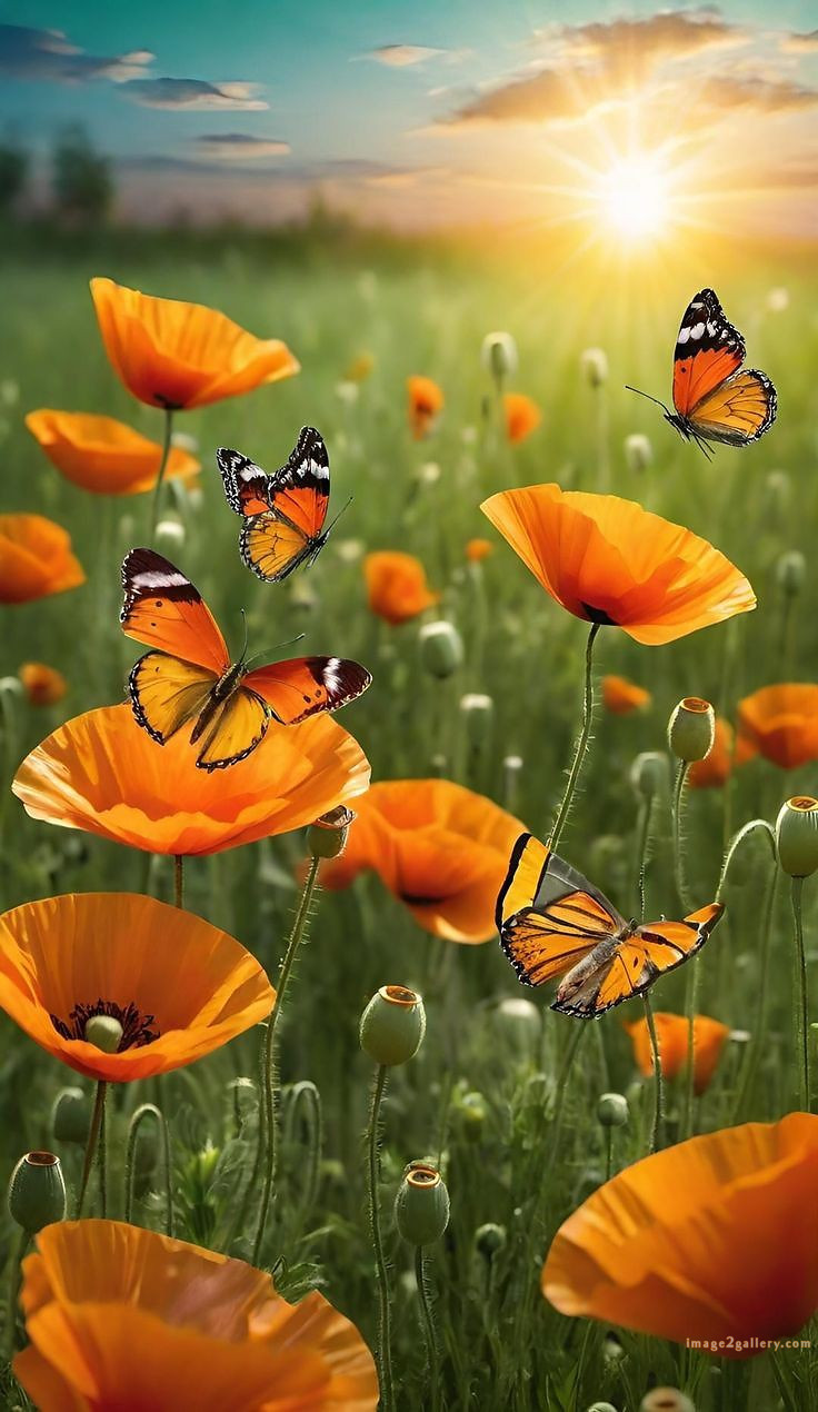 700+ Cute Flower Wallpaper Free Download | Beautiful Flowers Wallpapers for Mobile | 357 flower wallpaper -(37)