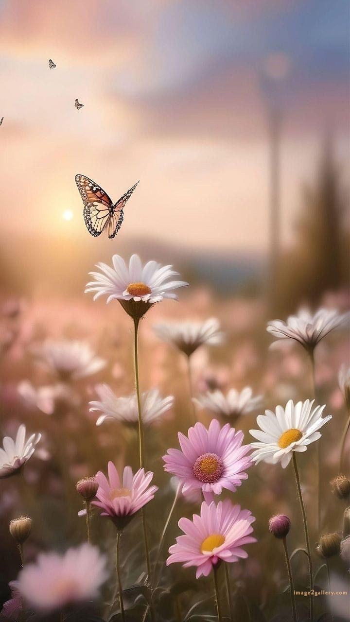 700+ Cute Flower Wallpaper Free Download | Beautiful Flowers Wallpapers for Mobile | 396 flower wallpaper -(38)