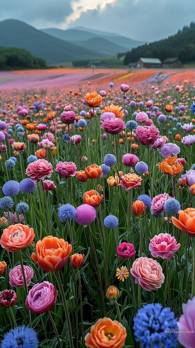 700+ Cute Flower Wallpaper Free Download | Beautiful Flowers Wallpapers for Mobile | 670 flower wallpaper 4k -(11)