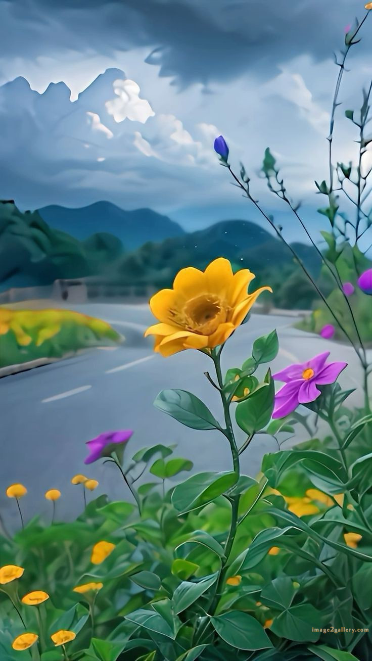 700+ Cute Flower Wallpaper Free Download | Beautiful Flowers Wallpapers for Mobile | 665 flower wallpaper 4k -(2)