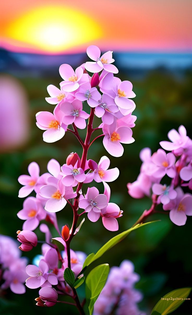 700+ Cute Flower Wallpaper Free Download | Beautiful Flowers Wallpapers for Mobile | 690 flower wallpaper 4k -(27)