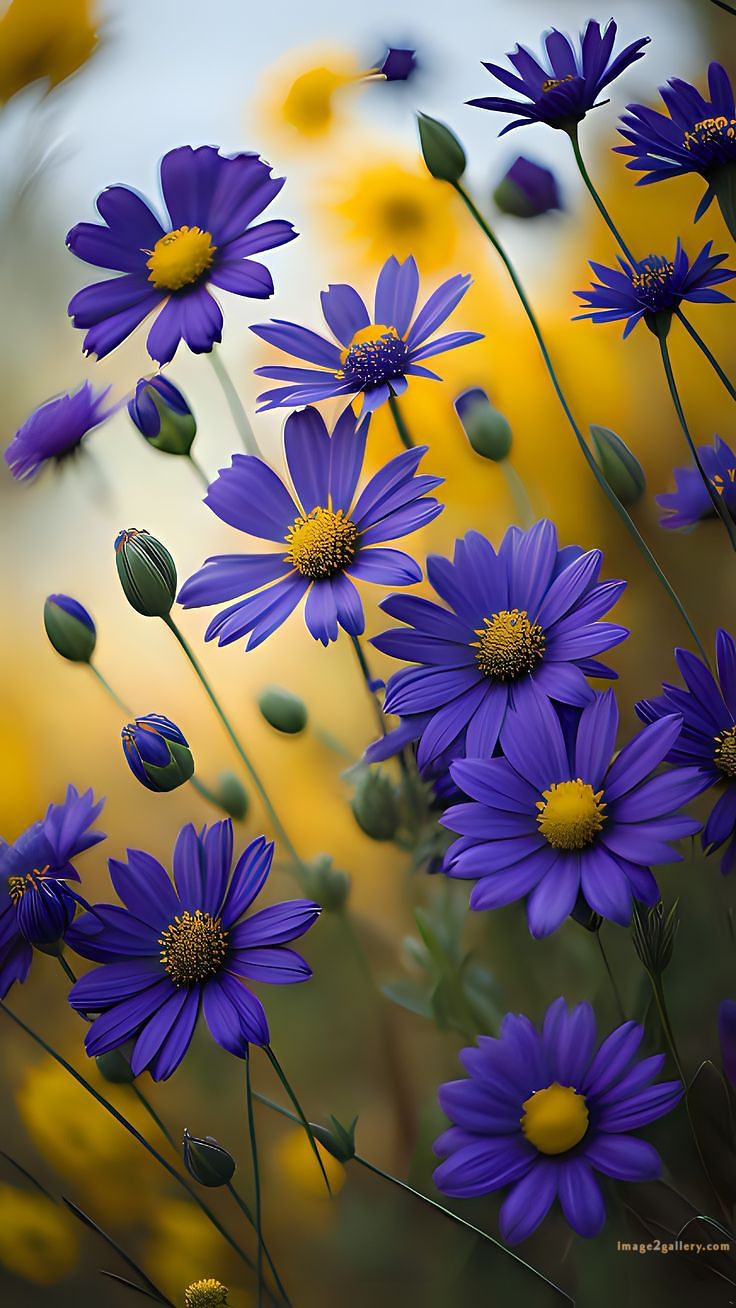 700+ Cute Flower Wallpaper Free Download | Beautiful Flowers Wallpapers for Mobile | 696 flower wallpaper 4k -(33)