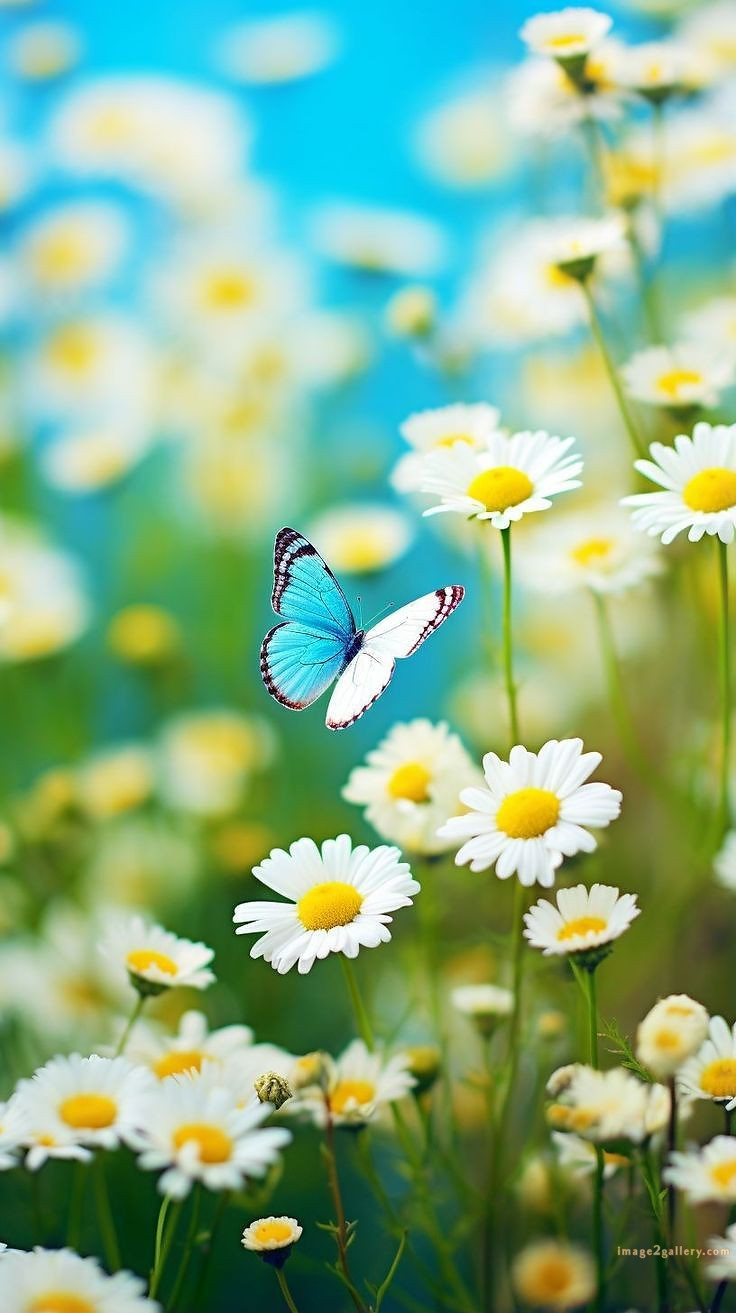 700+ Cute Flower Wallpaper Free Download | Beautiful Flowers Wallpapers for Mobile | 406 flower wallpaper aesthetic -(10)