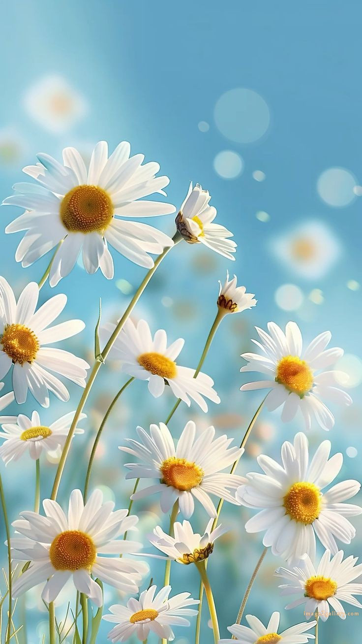 700+ Cute Flower Wallpaper Free Download | Beautiful Flowers Wallpapers for Mobile | 403 flower wallpaper aesthetic -(11)