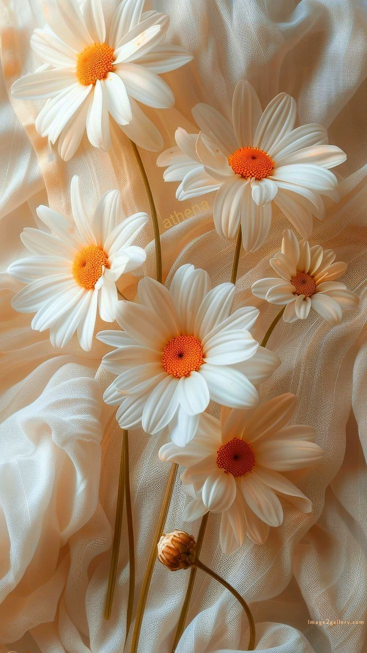 700+ Cute Flower Wallpaper Free Download | Beautiful Flowers Wallpapers for Mobile | 407 flower wallpaper aesthetic -(15)