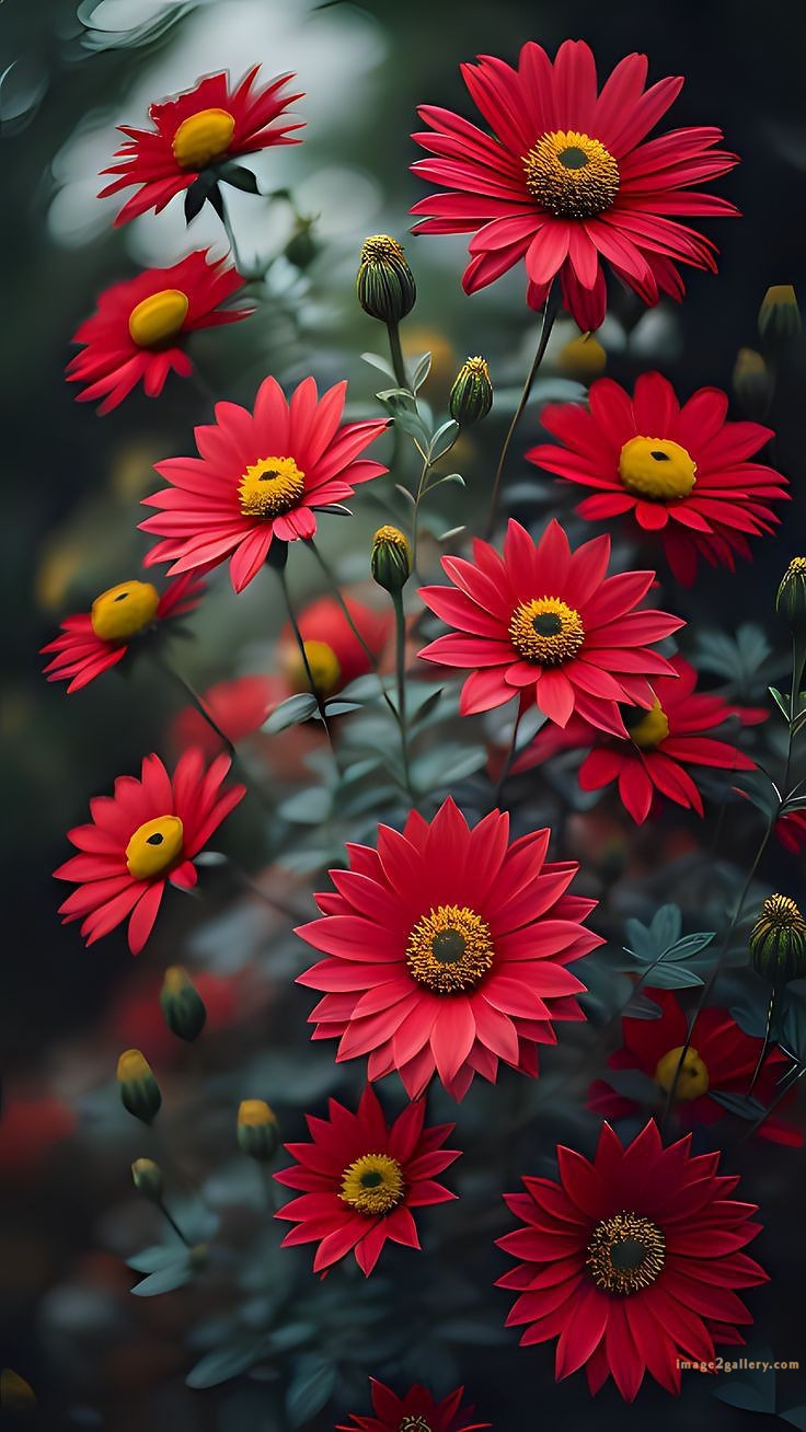 700+ Cute Flower Wallpaper Free Download | Beautiful Flowers Wallpapers for Mobile | 739 flower wallpaper aesthetic -(36)