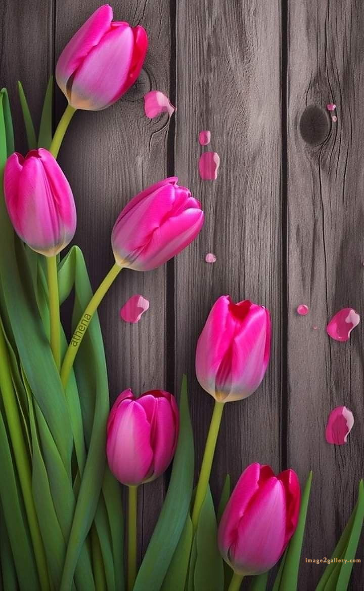 700+ Cute Flower Wallpaper Free Download | Beautiful Flowers Wallpapers for Mobile | 422 flower wallpaper hd -(19)
