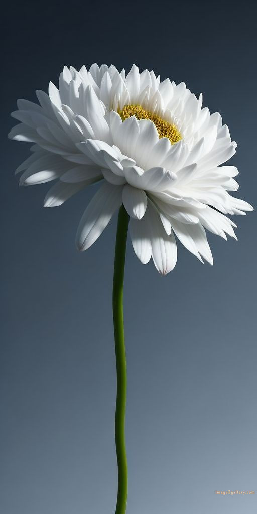700+ Cute Flower Wallpaper Free Download | Beautiful Flowers Wallpapers for Mobile | 262 flower wallpaper iphone -(19)
