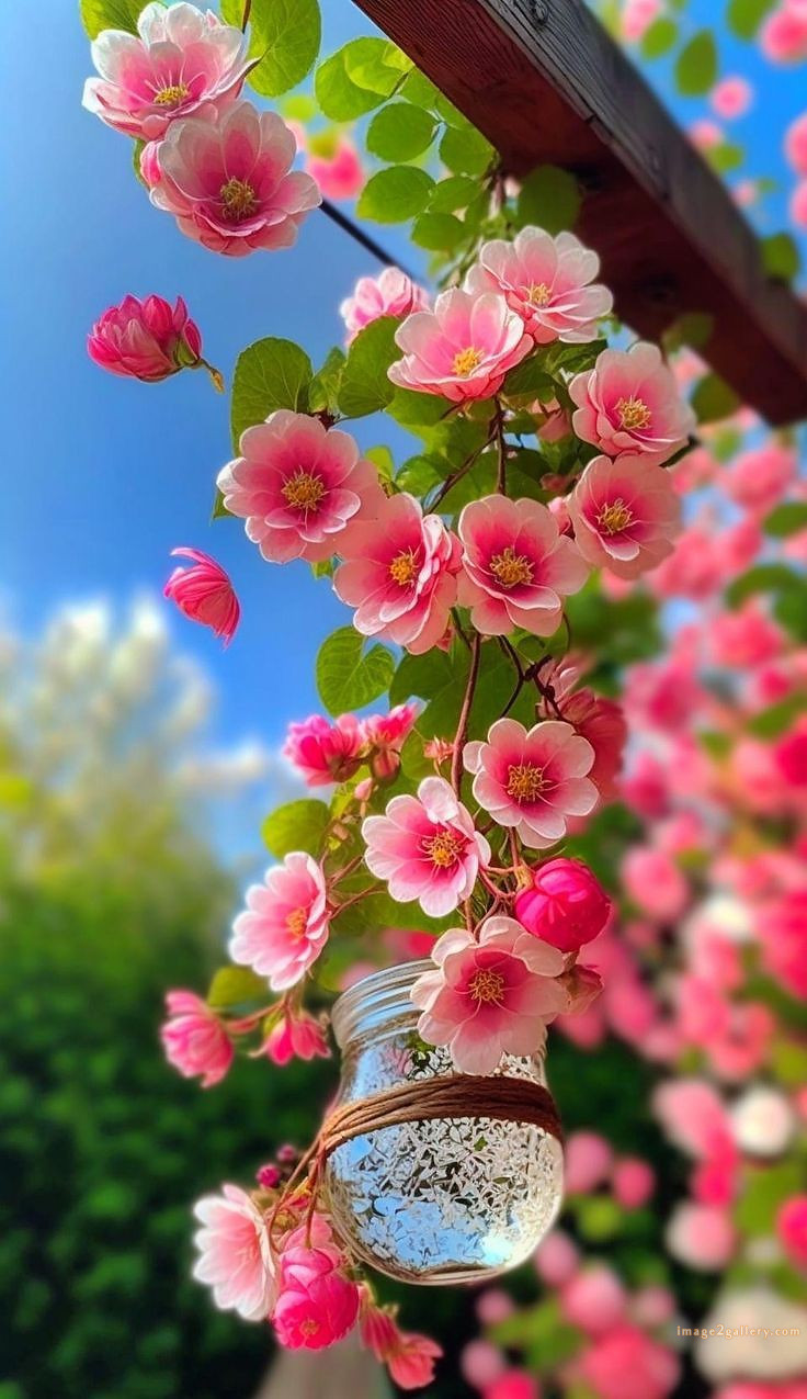 700+ Cute Flower Wallpaper Free Download | Beautiful Flowers Wallpapers for Mobile | 615 flower wallpaper iphone aesthetic -(12)