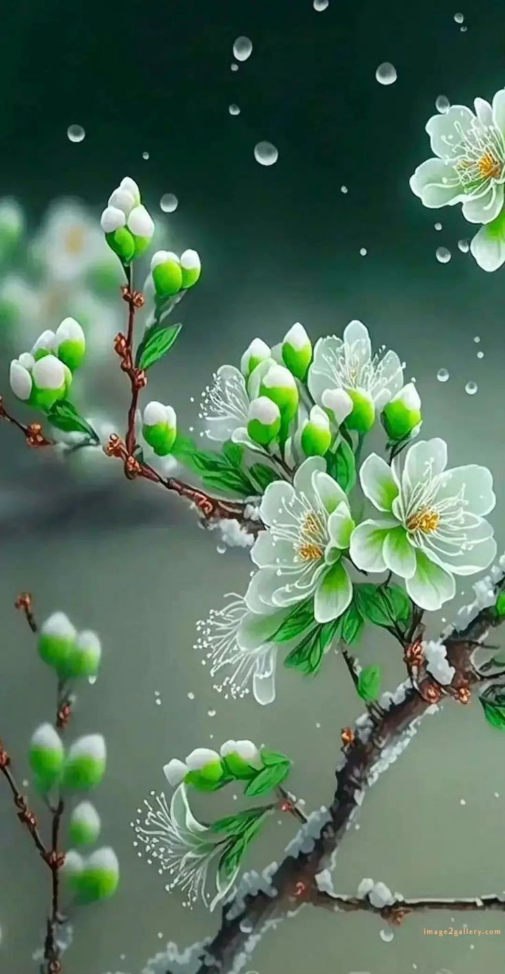 700+ Cute Flower Wallpaper Free Download | Beautiful Flowers Wallpapers for Mobile | 703 flower wallpaper iphone aesthetic -(2)