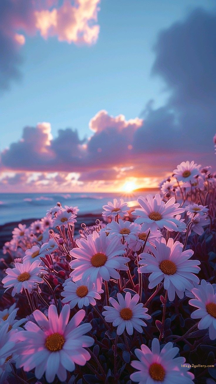 700+ Cute Flower Wallpaper Free Download | Beautiful Flowers Wallpapers for Mobile | 625 flower wallpaper iphone aesthetic -(25)