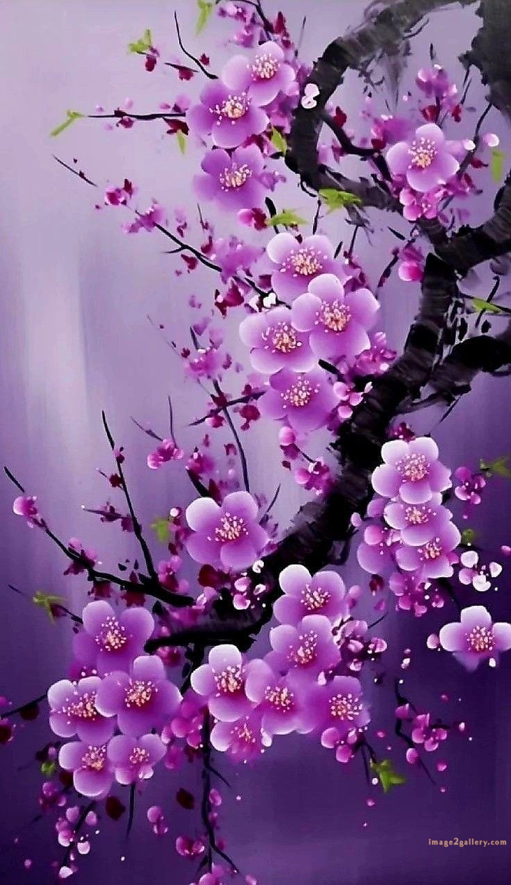 700+ Cute Flower Wallpaper Free Download | Beautiful Flowers Wallpapers for Mobile | 706 flower wallpaper iphone aesthetic -(7)