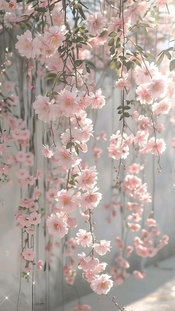 700+ Cute Flower Wallpaper Free Download | Beautiful Flowers Wallpapers for Mobile | 188 flower wallpaper mobile -(22)
