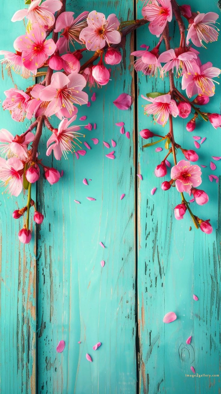 700+ Cute Flower Wallpaper Free Download | Beautiful Flowers Wallpapers for Mobile | 187 flower wallpaper mobile -(23)